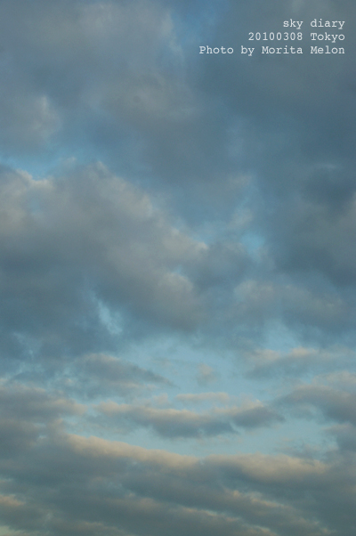 web20100308.jpg